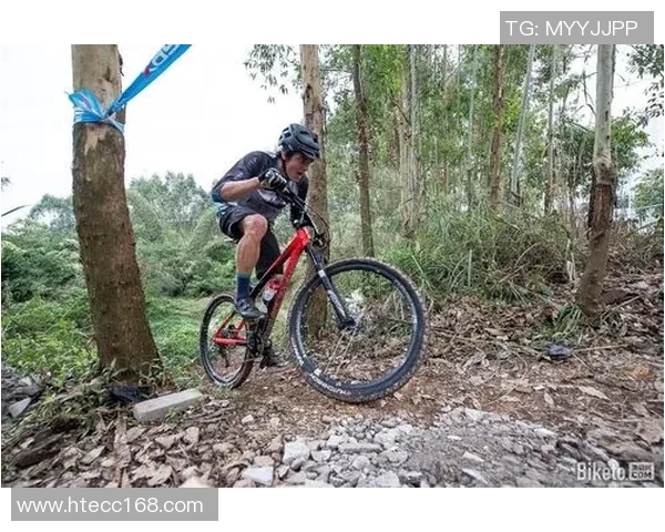 杭州极限运动队与深圳极限运动队赛后分析灵活性表现及战术对比